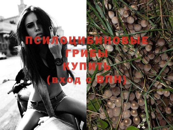 ECSTASY Красноперекопск