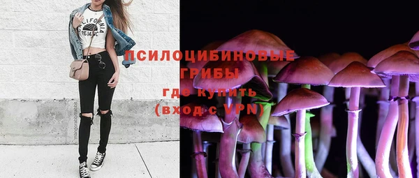 ECSTASY Красноперекопск