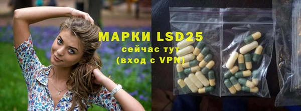шишки Краснотурьинск