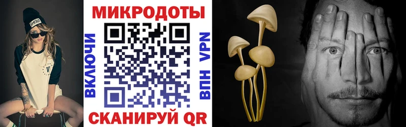 Галлюциногенные грибы Cubensis  Купить  Балахна 